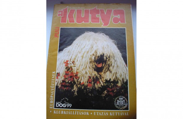 A Kutya cm magazin , 1999 jnius