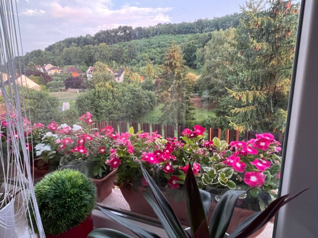 A Mecsekben Orf mellett panorms csaldi hz elad