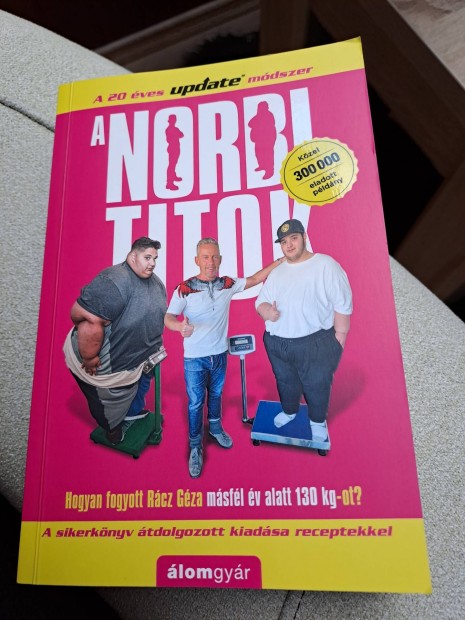 A Norbi titok Schobert Norbi könyv 