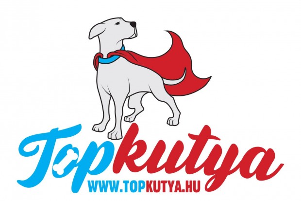 A Topkutya.hu webshop munkat�rsat keres