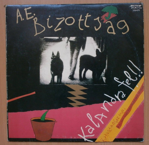 A. E. Bizottság bakelit hanglemez