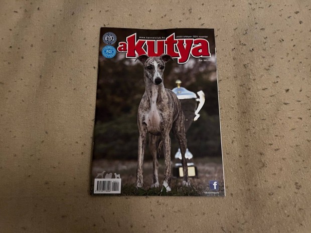 A kutya - olvasatlan magazin