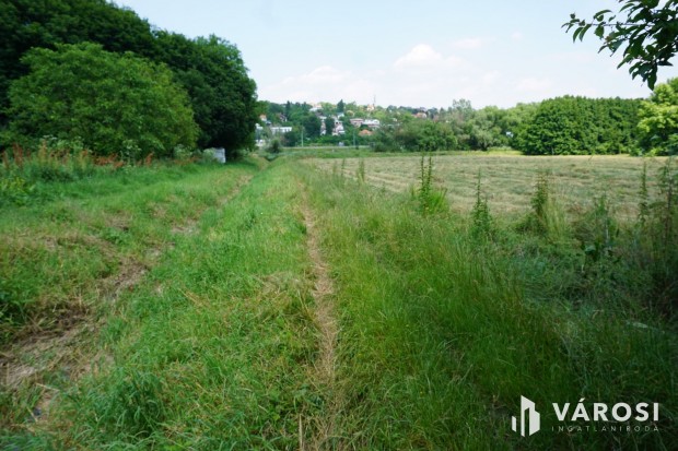 A lehet�s�gek telke a Solym�rv�lgyi �ton!