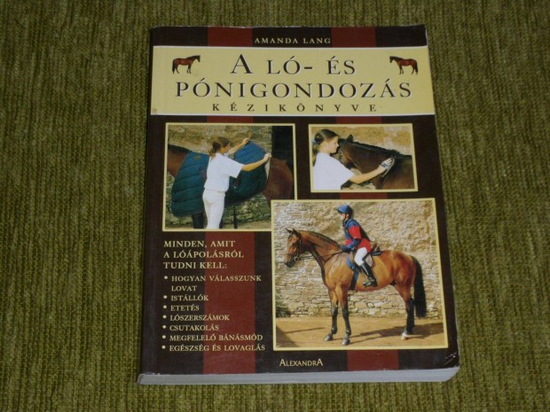 A l- s pnigondozs kziknyve - Mindent,amit a lpolsrl tudni