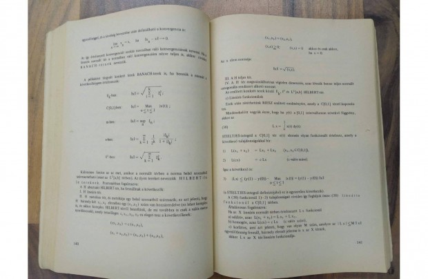 A matematika fejldse - Tanrkpz Fiskolk kzirat - Szernyi Tibor
