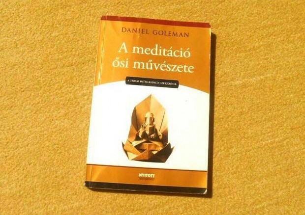 A meditci si mvszete - Daniel Goleman