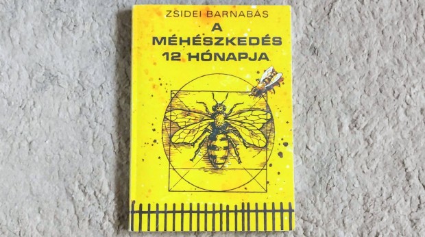 A mhszkeds 12 hnapja - Zsidei Barnabs mh mhlegel