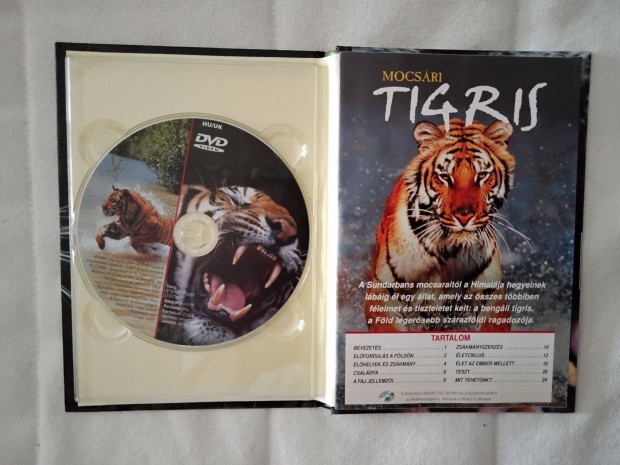 A mocsri tigris