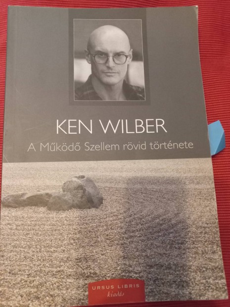 A mkd Szellem rvid trtnete (Wilber)