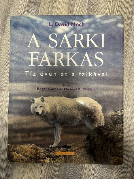 A sarki farkas - Tz ven t a falkval