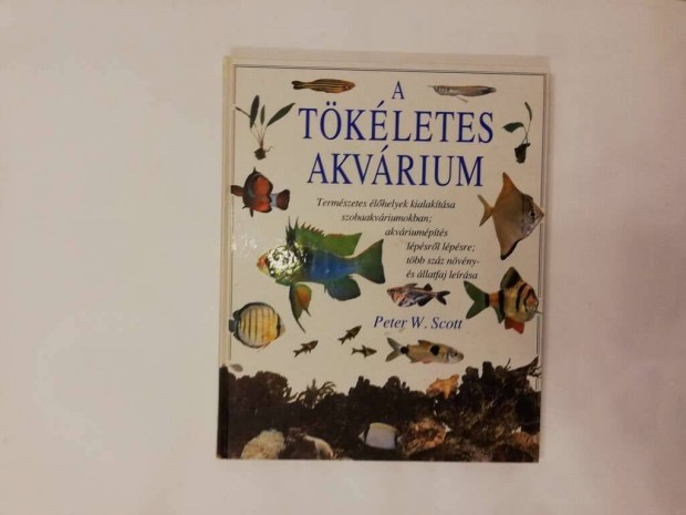 A tkletes akvrium