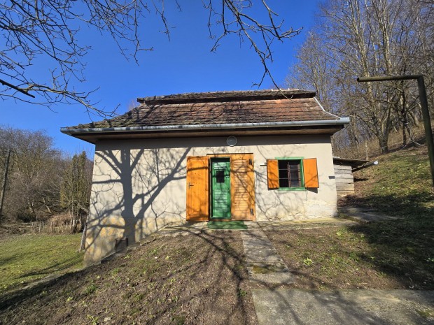 A vil�gt zaj�t�l t�vol - Nemesr�d�  R�di-hegyen h�tv�gi h�z -