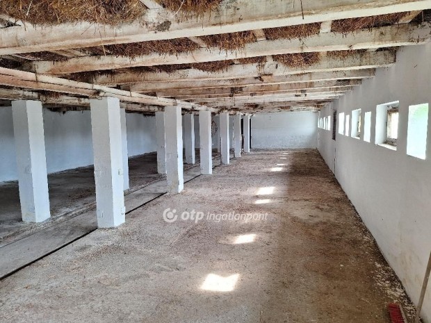 Ab�dszal�ki 145 nm-es h�z elad�