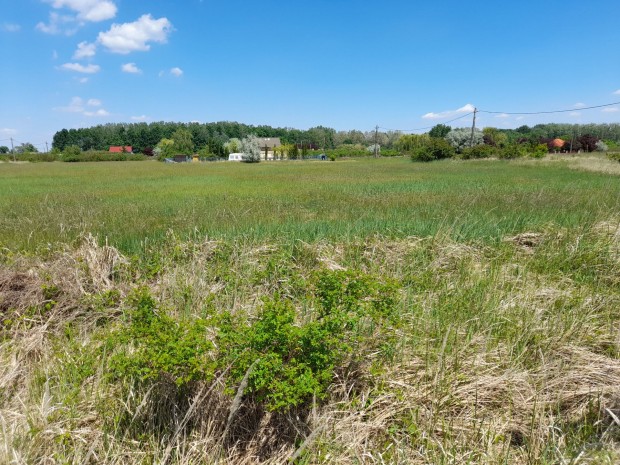 Ab�dszal�ki �d�l� telkek elad�k.