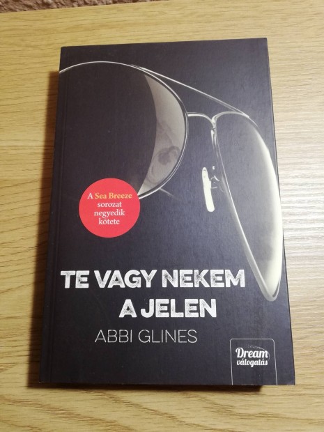 Abbi Glines : Te vagy nekem a jelen 