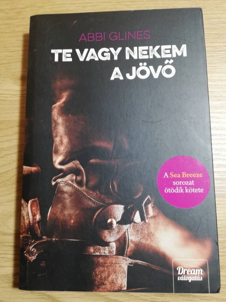 Abbi Glines : Te vagy nekem a jv 