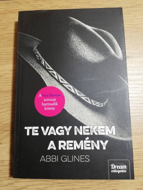 Abbi Glines : Te vagy nekem a remny 