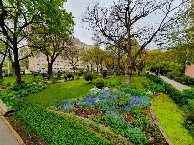 Ablakos konyha!!! Az �rst�l a 2. meg�ll�, vil�gos, csendes, kl�m�s