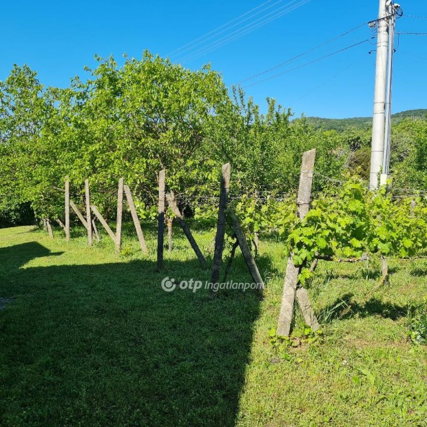 �brah�mhegyi elad� 625 nm-es telek