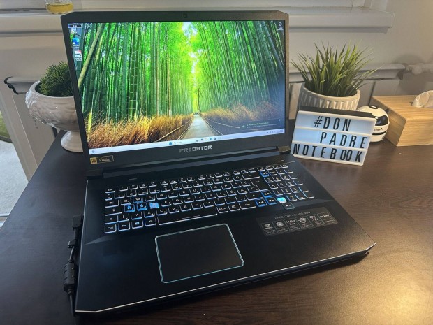 Acer Predator Helios 300 - 17,3"FHD IPS 144Hz - i7-9750H - 256GB SSD+1