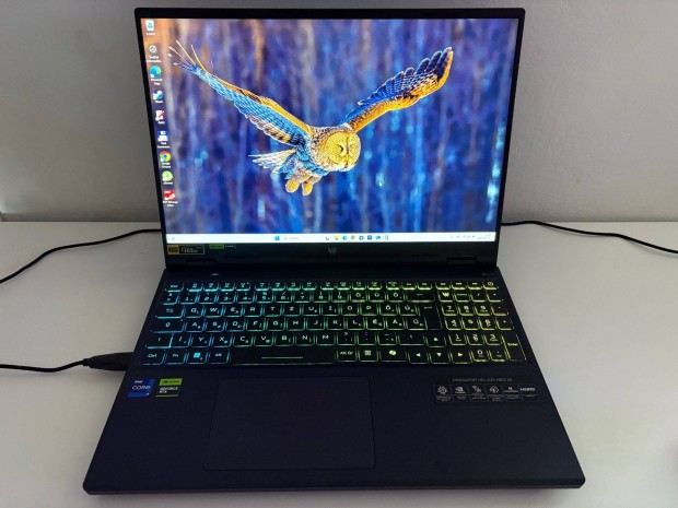 Acer Predator Helios Neo 16
