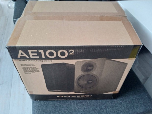 Acoustic Energy AE100