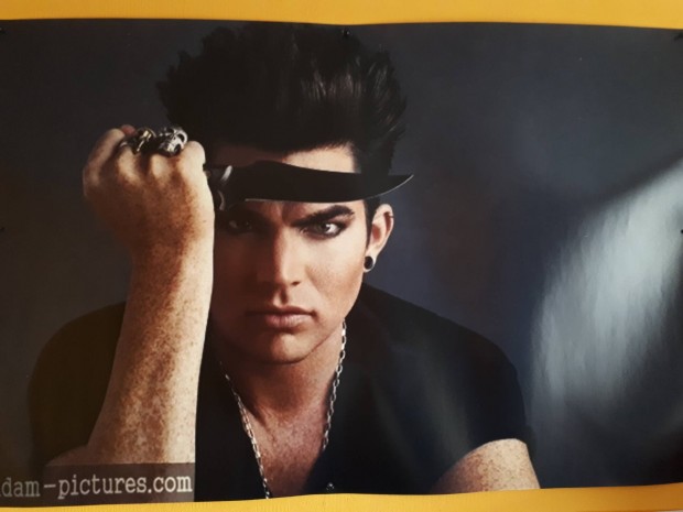 Adam Lambert poster elad