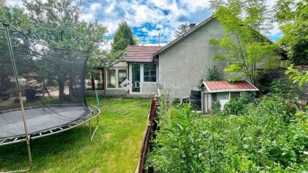 �d�ndi elad� 66 nm-es h�z