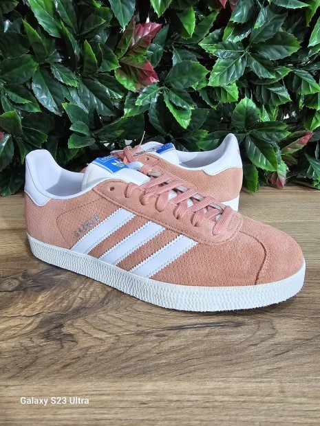 Adidas Gazelle (Tbb meret)