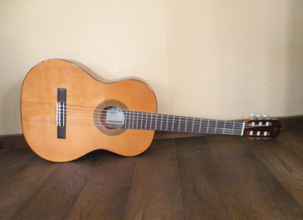 Admira Paloma gitár