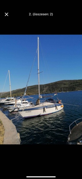 Adriai vitorls haj 50%-os tulajdonjog elad
