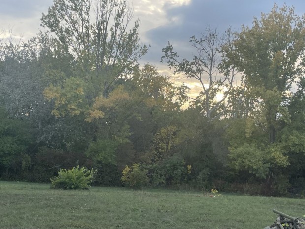 Ag�rd, Ag�rd utca, 817 m2-es, telek