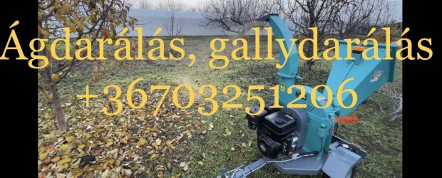 gdarls, gallydarls