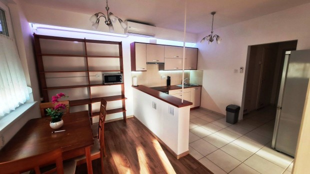 Agrár Egyetem előtt a Görgey utcán 54 m2 2 szobás felújított lakás