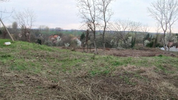 Ajka-Padragkton 3262 nm-es panorms ptsi telek elad.