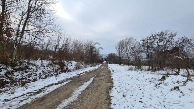 Ajka-Padragkton belterleti telek elad.