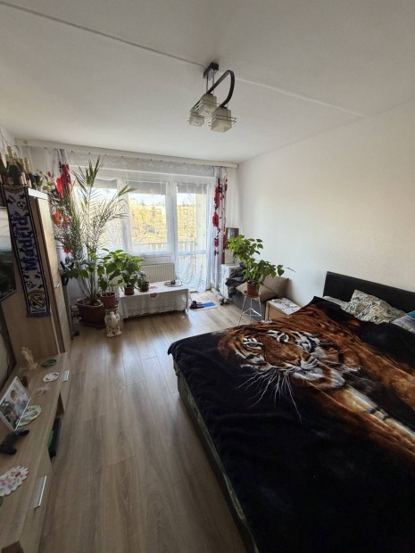 Ajk�n elad� Lak�s