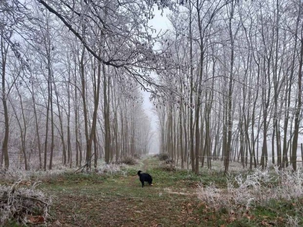 Akcos kitermelhet 1,5-3M Ft rtkben csere lra