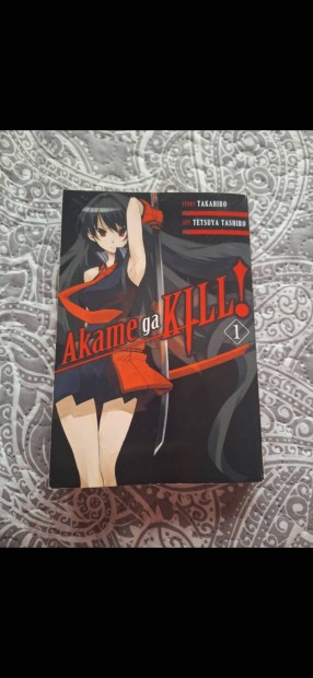 Akame ga Kill! manga 1. rsz 