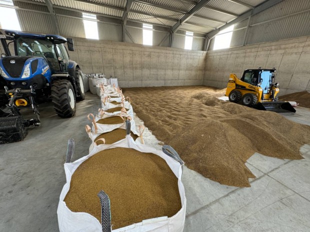 Akció BIO AKG Szarvasi AS3 lucernamag Tisztaság: 96% Csíra: 80%