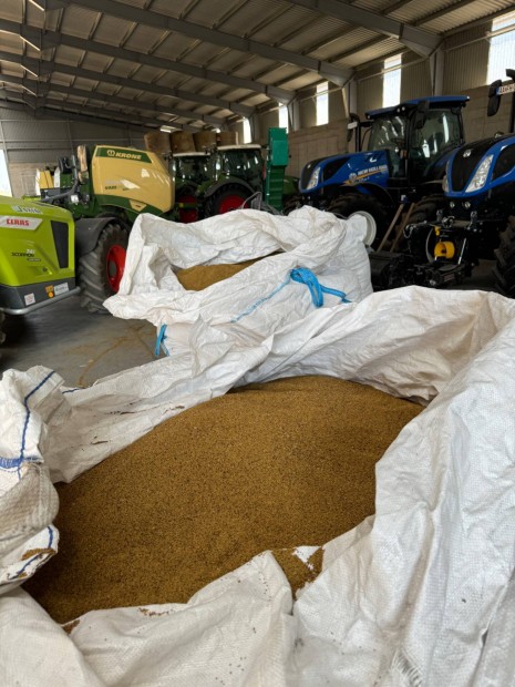 Akci BIO kolgiai Szarvasi AS3 lucernamag nagy mennyisgben