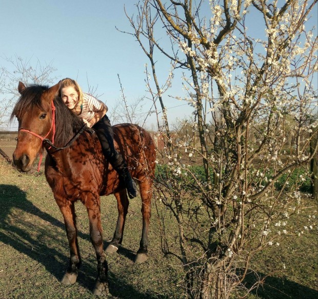 Akci! Kpzett get l Angol s Western belovagolva.J helyre elad!