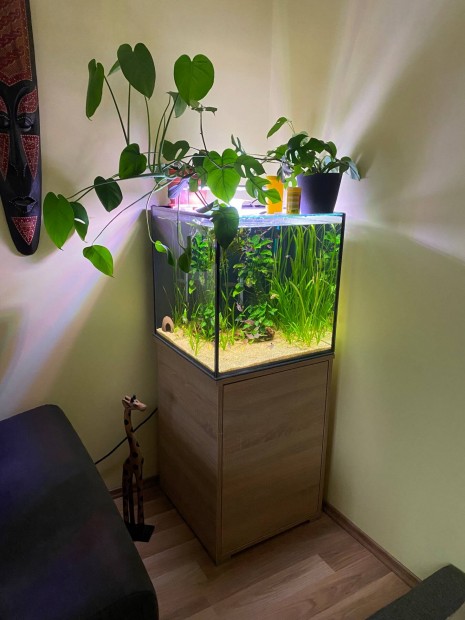 Akvrium 125l