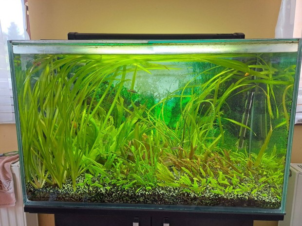 Akvrium 160l