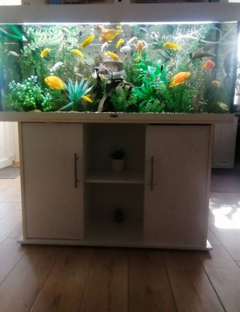 Akvrium 240l juwel elad! 
