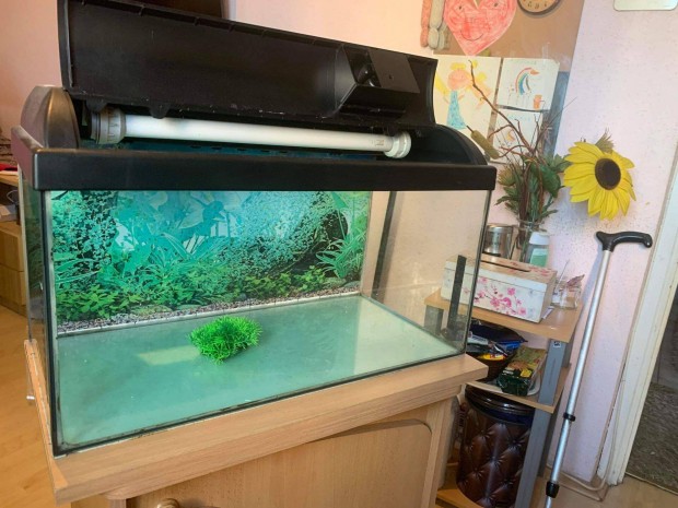 Akvrium 60L + JBL e401 kls szr