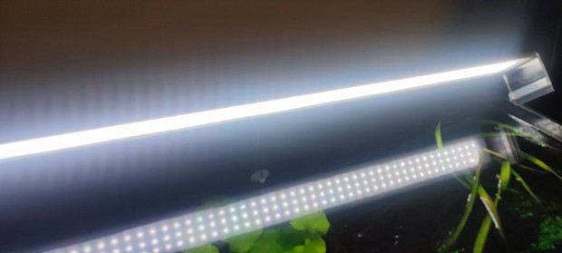Akvrium LED vilgts (80 cm) 