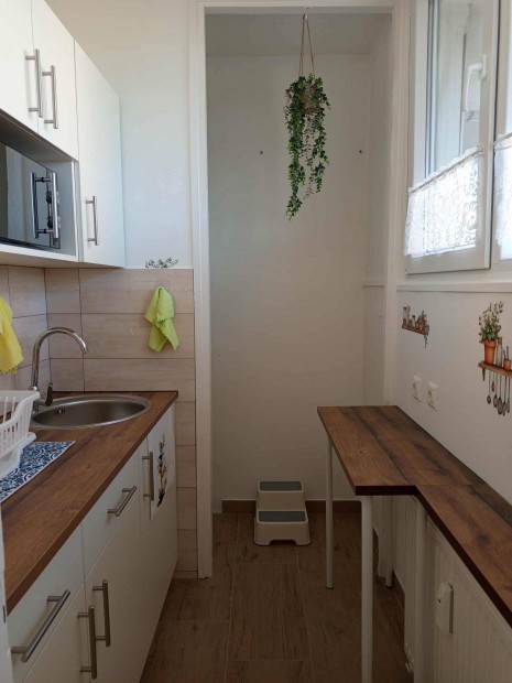 Alacsony rezsivel, 1 szob�s lak�som kiad�