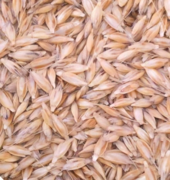 Alakor Bza bio gazdasgbl
