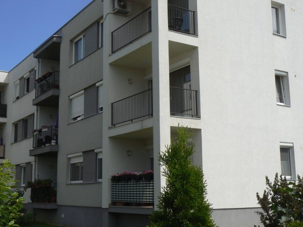 Albrlet a Minerva lakparkban